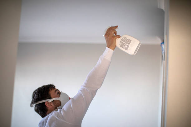 Best Kitchen Mold Remediation in Ellisville, MS